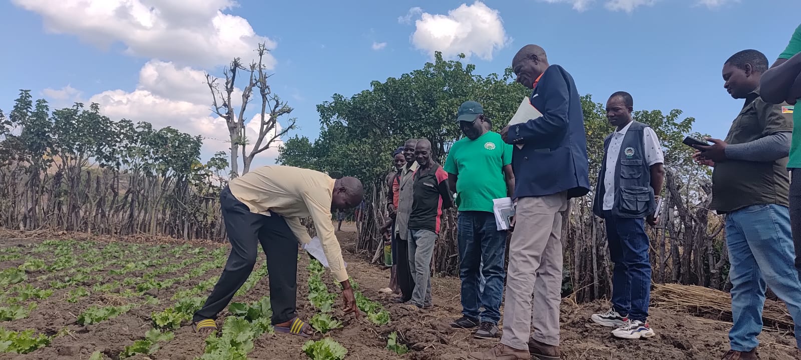 Projecto de Promoção de Boas Práticas Agrícolas Sustentáveis em Chifunde